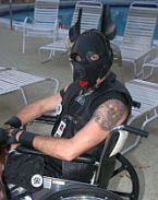 International Puppy Contest Flip-n-Wheelchair